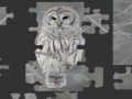 Joc Owl