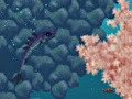 Joc Azurefish