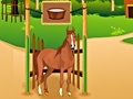 Joc Horse Care Apprenticship