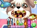Joc Puppy at the Dentist