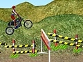 Joc Motorcycle Rally