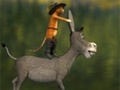 Joc Travel cat and a donkey