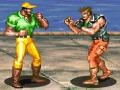 Joc Hardest Fighter 2