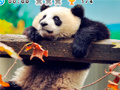 Joc Animal Habitats: Find Items