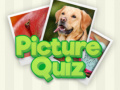Joc 100 Pics