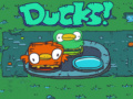 Joc Ducks!