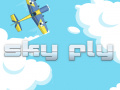 Joc Sky Fly