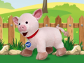 Joc Catch The Pig
