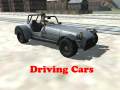 Joc Driving Cars