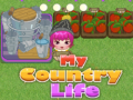 Joc My County Life