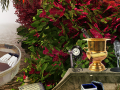 Joc The Prize Winning Garden