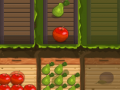 Joc Fruit Gardener