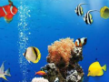 Joc Sea Underwater Difference