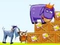 Joc Donkey Sean
