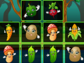 Joc Vegetable Cards Match