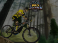 Joc MTB Pro Racer