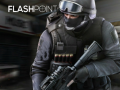 Joc Flashpoint