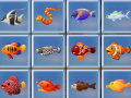 Joc Find The Fish