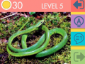 Joc 15 Picture Quiz