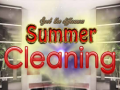 Joc Spot The differences Summer Cleaning