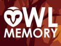 Joc Owl Memory