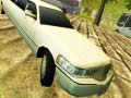 Joc Limousine Driver