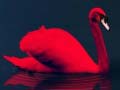 Joc Love Birds Puzzle