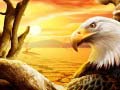 Joc Eagle