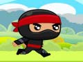 Joc Ninja