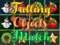 Joc Falling Objects Match 