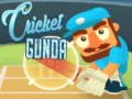 Joc Cricket Gunda