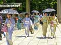 Joc 100 Butterflies in Japan
