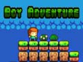 Joc Boy Adventure