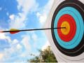 Joc Archery: Bow & Arrow