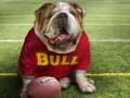 Joc Funny Doggy