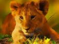 Joc Wild Baby Animals Jigsaw