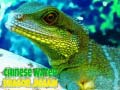 Joc Chinese Water Dragon Jigsaw