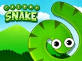 Joc Frenzy Snake