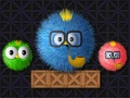 Joc Where Is My Ruffled Bird
