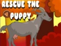 Joc Rescue The Puppy