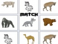 Joc Match