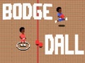Joc Bodge Dall