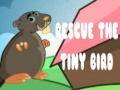 Joc Rescue The Tiny Bird