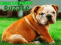 Joc Bulldog Puppy Puzzle