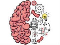 Joc Brain Test