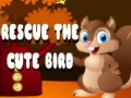 Joc Rescue The Cute Bird