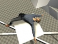 Joc Ragdoll Test