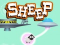 Joc Sheep