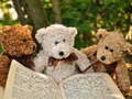 Joc Cuddly Three Teddy Jigsaw