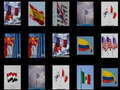 Joc Memorize the flags